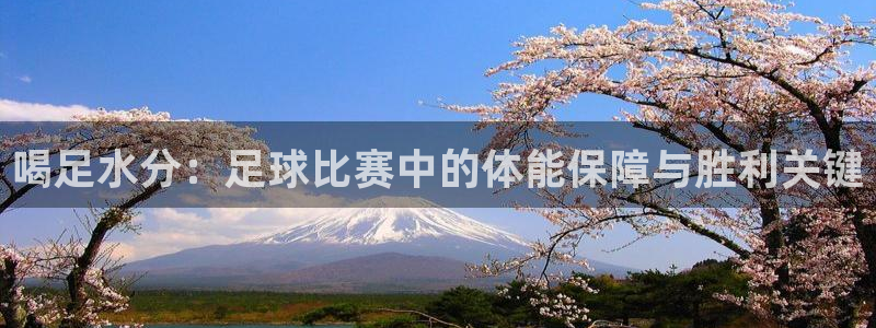  喝足水分：足球比赛中的体能保障与胜利关键