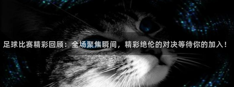 足球比赛精彩回顾：全场聚焦瞬间，精彩
