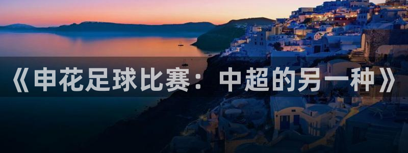  《申花足球比赛：中超的另一种》