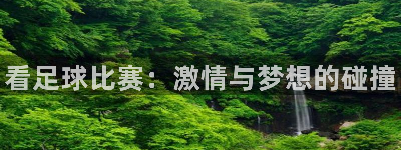 看足球比赛：激情与梦想的碰撞