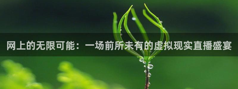 搜球体育：网上的无限可能：一场前所未有的虚拟现实直播盛宴