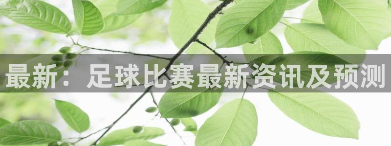 最新：足球比赛最新资讯及预测
