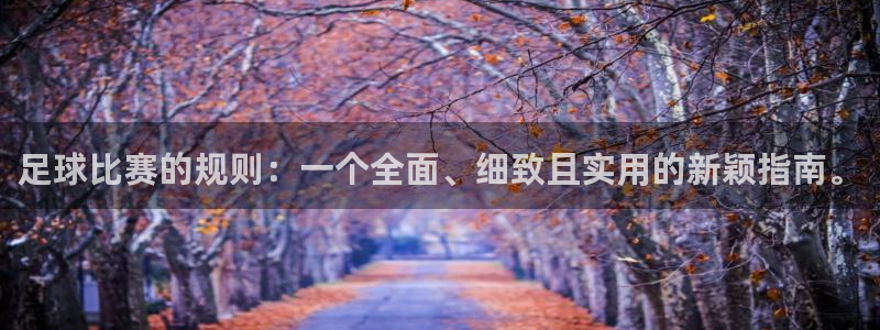 足球比赛的规则：一个全面、细致且实用