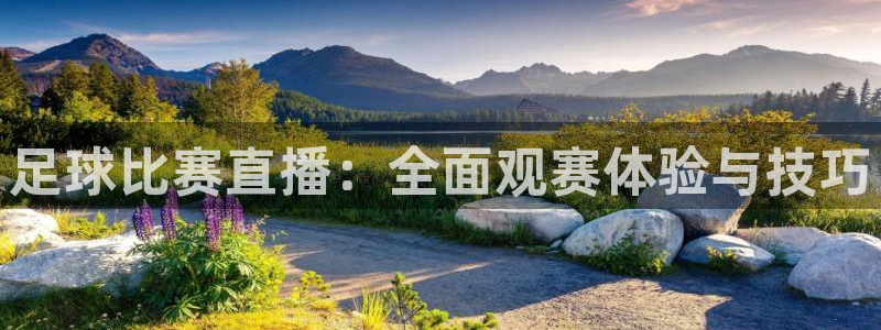 足球比赛直播：全面观赛体验与技巧