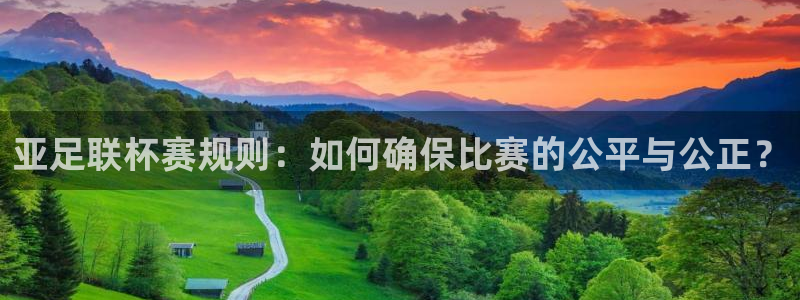 亚足联杯赛规则：如何确保比赛的公平与