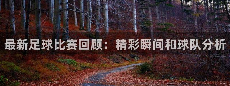 最新足球比赛回顾：精彩瞬间和球队分析