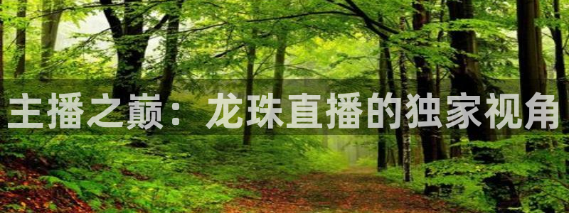 主播之巅：龙珠直播的独家视角
