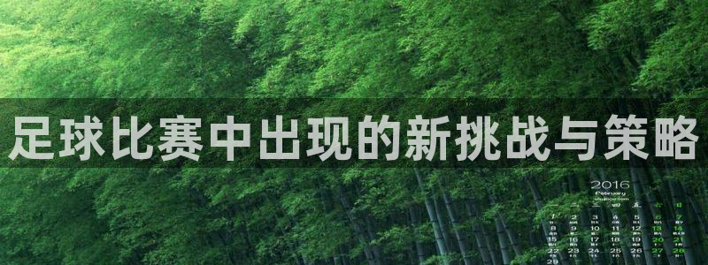 足球比赛中出现的新挑战与策略