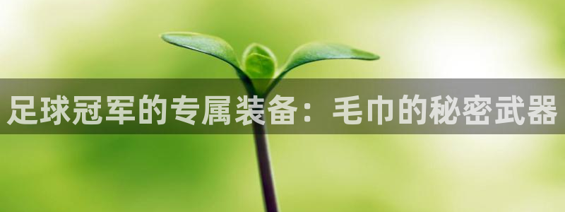 足球冠军的专属装备：毛巾的秘密武器