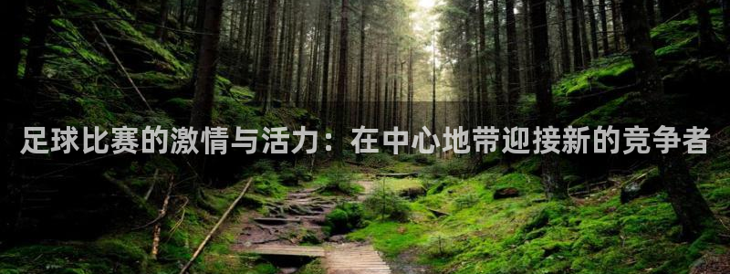 足球比赛的激情与活力：在中心地带迎接