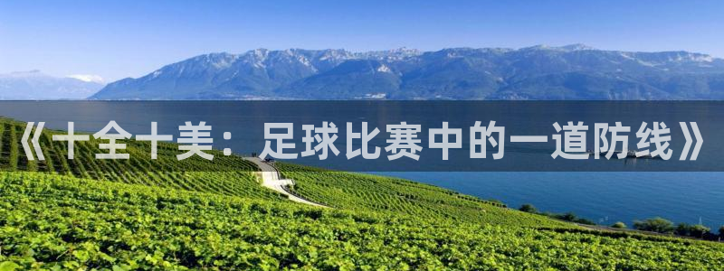  《十全十美：足球比赛中的一道防线》