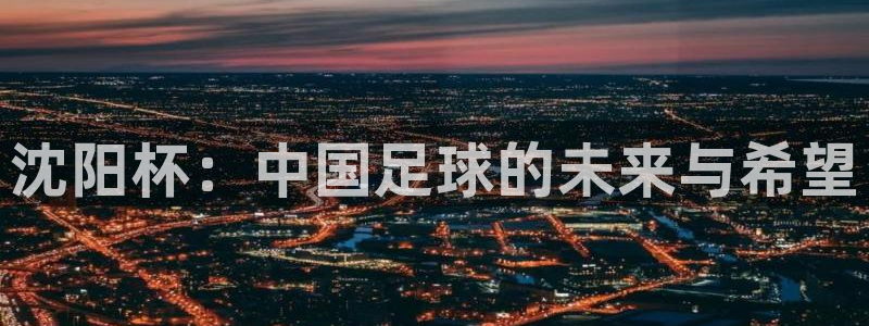 沈阳杯：中国足球的未来与希望