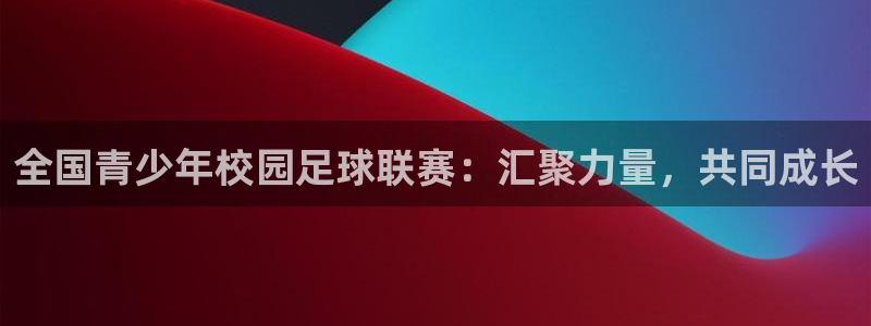 全国青少年校园足球联赛：汇聚力量，共同成长