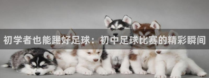  初学者也能踢好足球：初中足球比赛的精彩瞬间