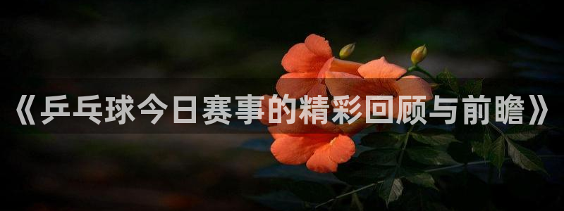 搜球吧直播 在线观看