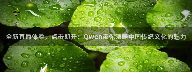 搜球吧在线直播免费观看