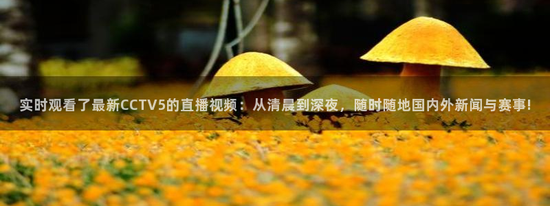 搜球吧直播网：实时观看了最新CCTV5的直播视频：从清晨到深夜，随时随地国内外新闻与赛事!