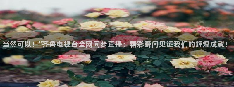 搜球吧在线直播nba